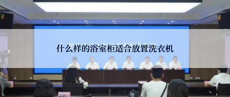 什么样的浴室柜适合放置洗衣机