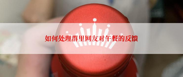 如何处理群里网友对午餐的反馈