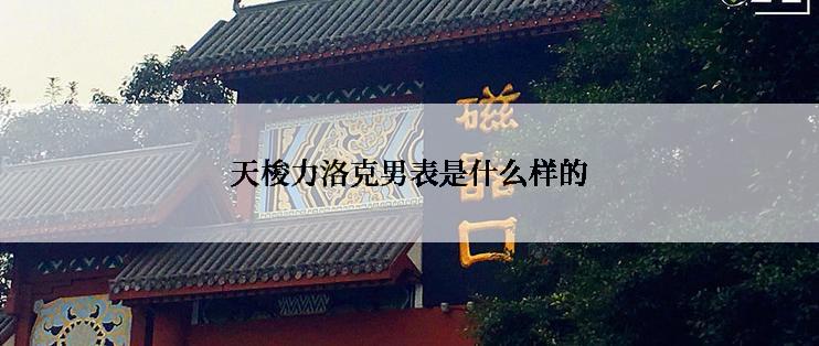 天梭力洛克男表是什么样的