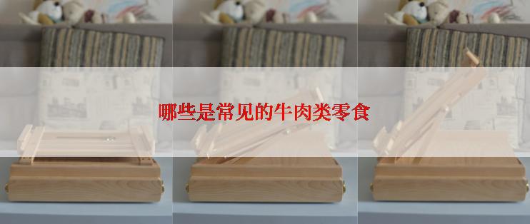 哪些是常见的牛肉类零食