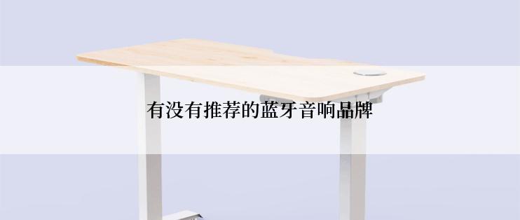 有没有推荐的蓝牙音响品牌