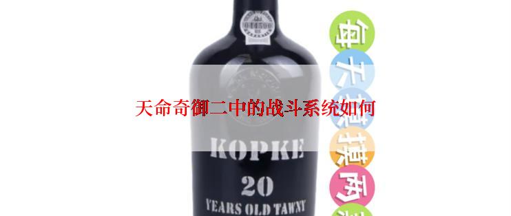 天命奇御二中的战斗系统如何