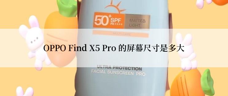 OPPO Find X5 Pro 的屏幕尺寸是多大