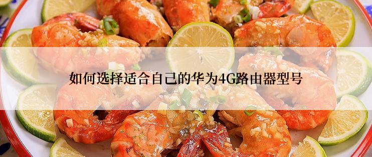 如何选择适合自己的华为4G路由器型号