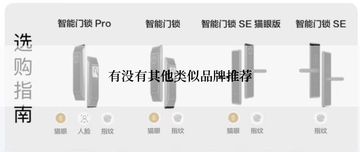 有没有其他类似品牌推荐