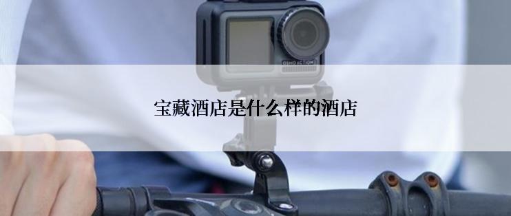 宝藏酒店是什么样的酒店