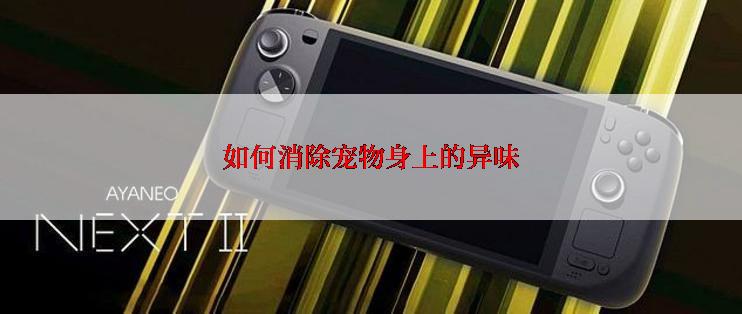 如何消除宠物身上的异味