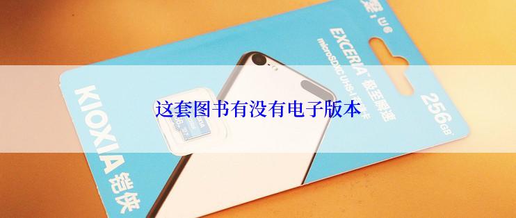这套图书有没有电子版本