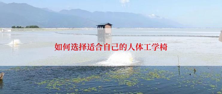 如何选择适合自己的人体工学椅