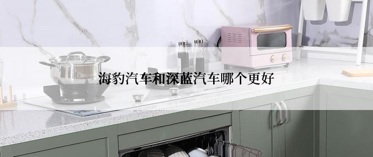 海豹汽车和深蓝汽车哪个更好