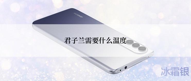 君子兰需要什么温度