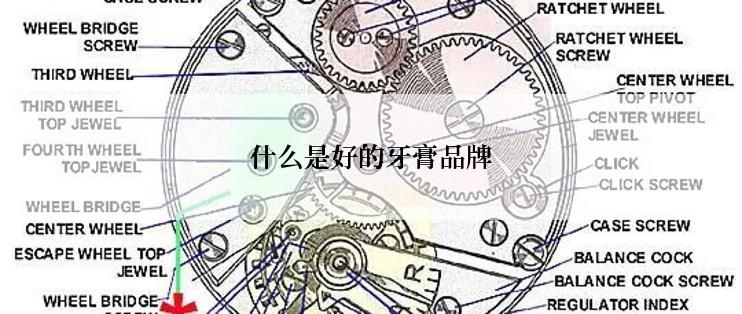 什么是好的牙膏品牌