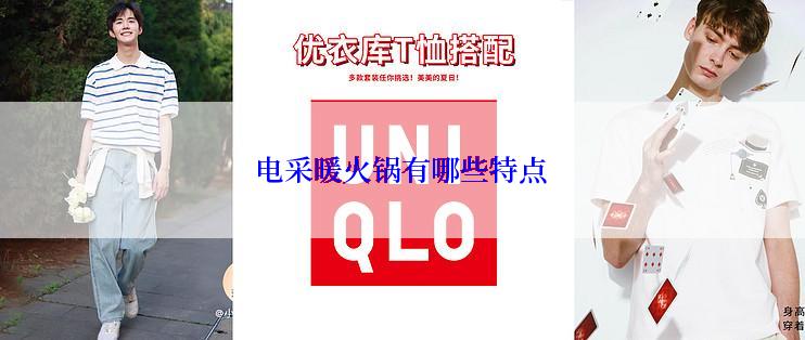 电采暖火锅有哪些特点