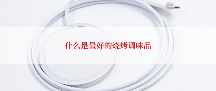 什么是最好的烧烤调味品
