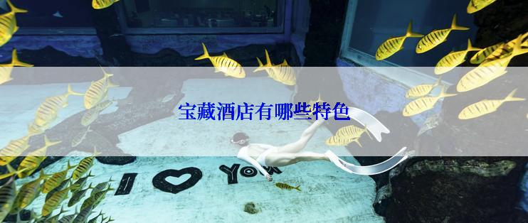 宝藏酒店有哪些特色