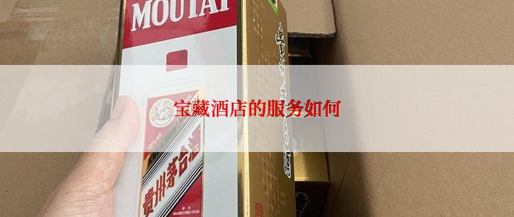 宝藏酒店的服务如何