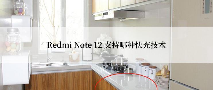 Redmi Note 12 支持哪种快充技术
