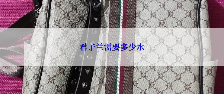 君子兰需要多少水