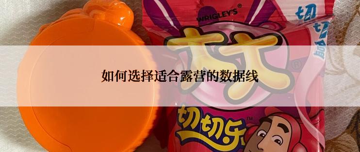 如何选择适合露营的数据线