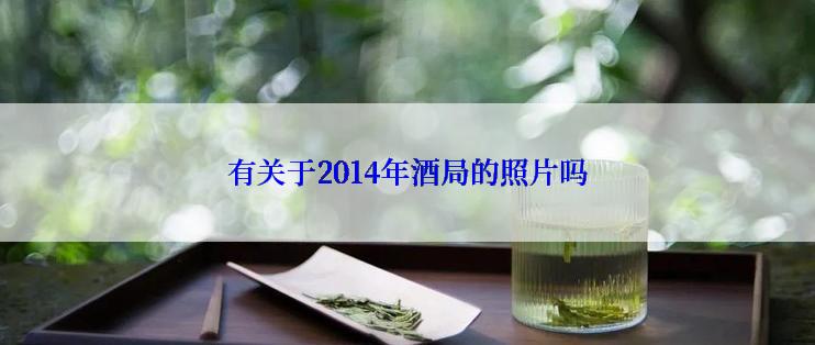 有关于2014年酒局的照片吗