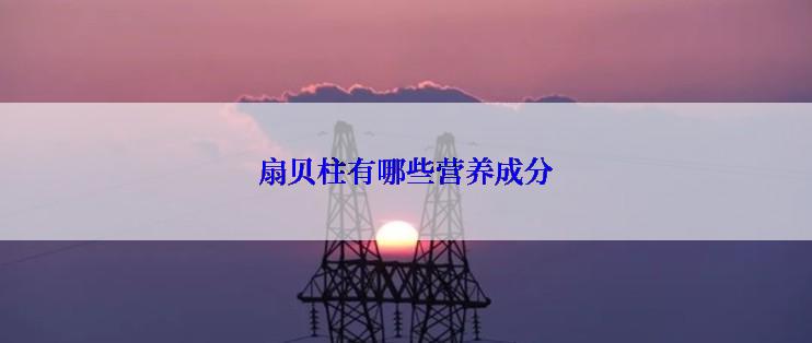 扇贝柱有哪些营养成分