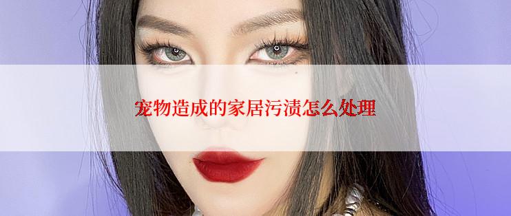 宠物造成的家居污渍怎么处理