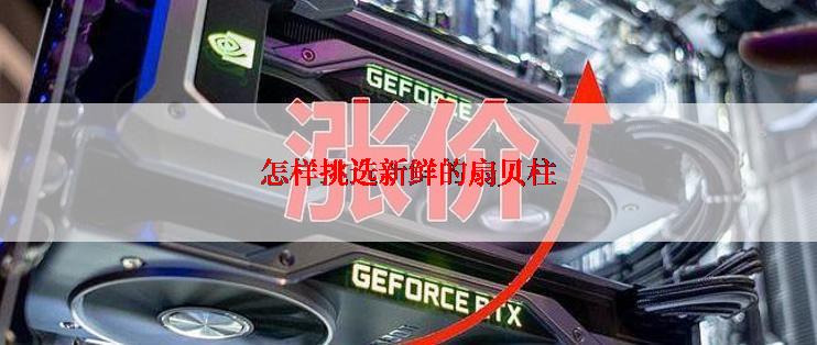 怎样挑选新鲜的扇贝柱