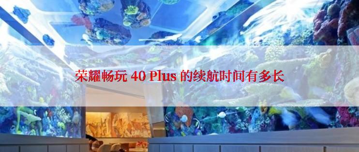 荣耀畅玩 40 Plus 的续航时间有多长