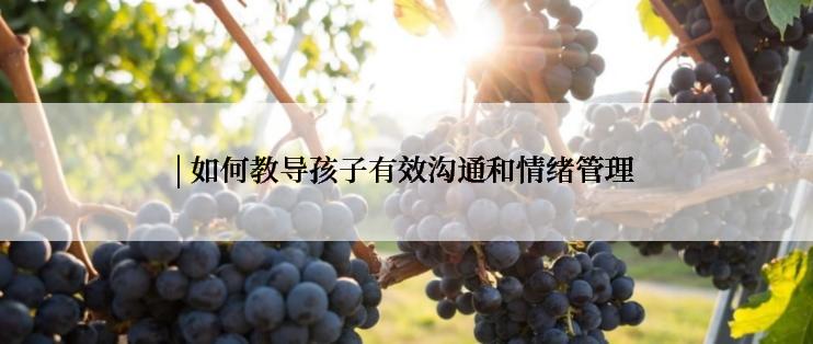 | 如何教导孩子有效沟通和情绪管理