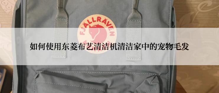 如何使用东菱布艺清洁机清洁家中的宠物毛发