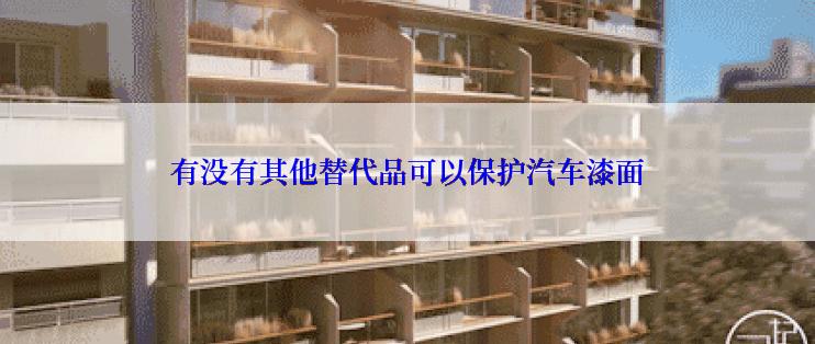 有没有其他替代品可以保护汽车漆面
