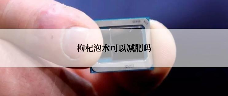 枸杞泡水可以减肥吗