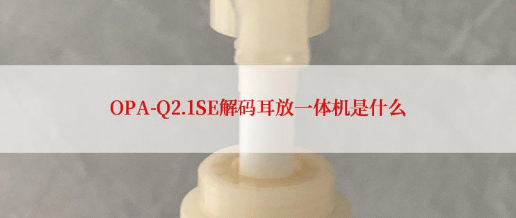 OPA-Q2.1SE解码耳放一体机是什么