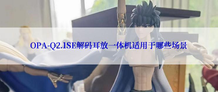 OPA-Q2.1SE解码耳放一体机适用于哪些场景