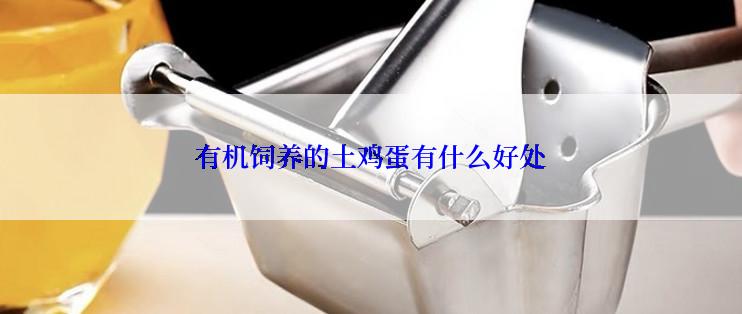 有机饲养的土鸡蛋有什么好处
