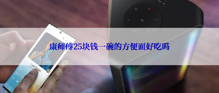 康师傅25块钱一碗的方便面好吃吗