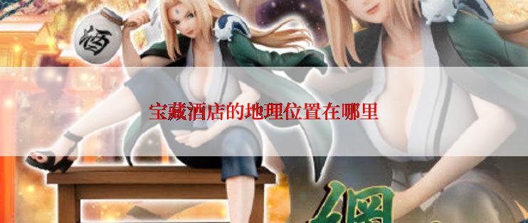宝藏酒店的地理位置在哪里