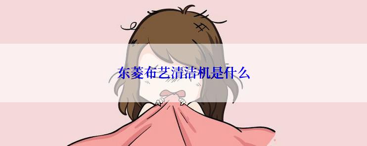 东菱布艺清洁机是什么