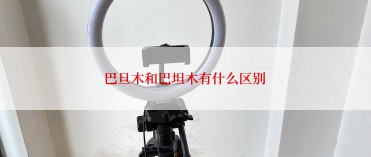 巴旦木和巴坦木有什么区别
