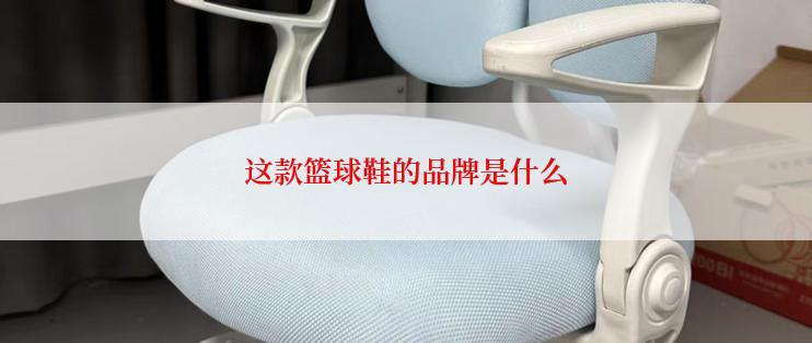 这款篮球鞋的品牌是什么