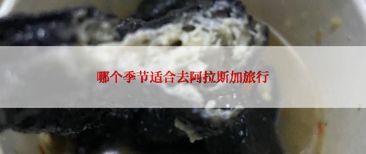 哪个季节适合去阿拉斯加旅行