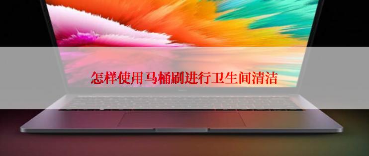 怎样使用马桶刷进行卫生间清洁