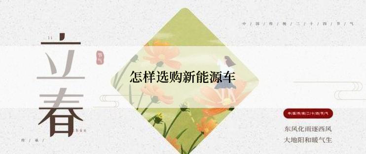 怎样选购新能源车