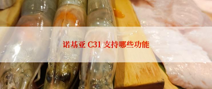 诺基亚 C31 支持哪些功能