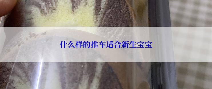什么样的推车适合新生宝宝