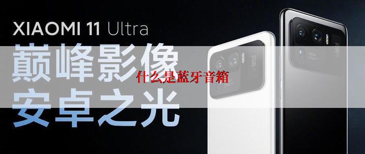 什么是蓝牙音箱