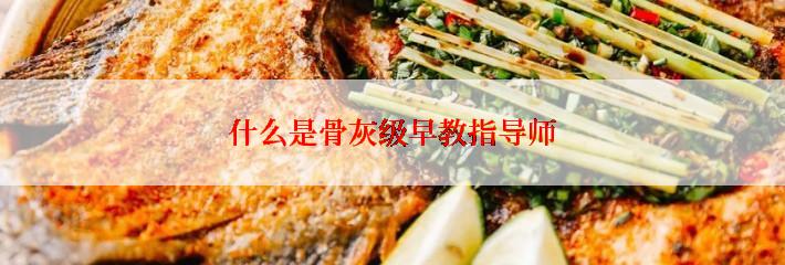 什么是骨灰级早教指导师