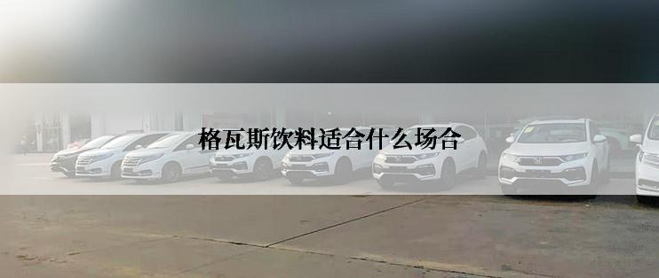 格瓦斯饮料适合什么场合