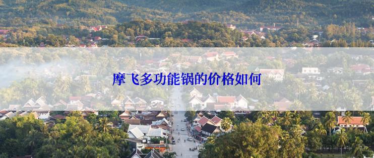 摩飞多功能锅的价格如何