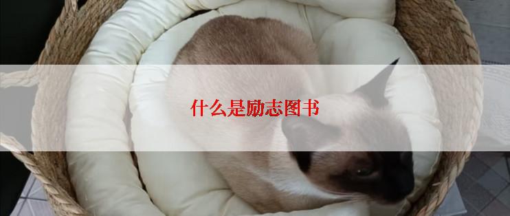 什么是励志图书